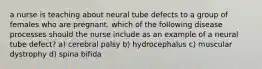 a nurse is teaching about neural tube defects to a group of females who are pregnant. which of the following disease processes should the nurse include as an example of a neural tube defect? a) cerebral palsy b) hydrocephalus c) muscular dystrophy d) spina bifida