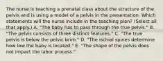 The nurse is teaching a prenatal class about the structure of the pelvis and is using a model of a pelvis in the presentation. Which statements will the nurse include in the teaching plan? (Select all that apply.) A. "The baby has to pass through the true pelvis." B. "The pelvis consists of three distinct features." C. "The true pelvis is below the pelvic brim." D. "The ischial spines determine how low the baby is located." E. "The shape of the pelvis does not impact the labor process."