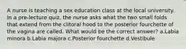 A nurse is teaching a sex education class at the local university. In a pre-lecture quiz, the nurse asks what the two small folds that extend from the clitoral hood to the posterior fourchette of the vagina are called. What would be the correct answer? a.Labia minora b.Labia majora c.Posterior fourchette d.Vestibule