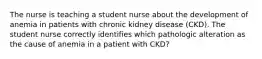 The nurse is teaching a student nurse about the development of anemia in patients with chronic kidney disease (CKD). The student nurse correctly identifies which pathologic alteration as the cause of anemia in a patient with CKD?