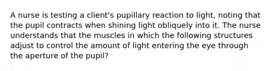 A nurse is testing a client's pupillary reaction to light, noting that the pupil contracts when shining light obliquely into it. The nurse understands that the muscles in which the following structures adjust to control the amount of light entering the eye through the aperture of the pupil?