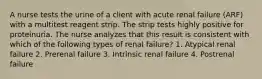 A nurse tests the urine of a client with acute renal failure (ARF) with a multitest reagent strip. The strip tests highly positive for proteinuria. The nurse analyzes that this result is consistent with which of the following types of renal failure? 1. Atypical renal failure 2. Prerenal failure 3. Intrinsic renal failure 4. Postrenal failure