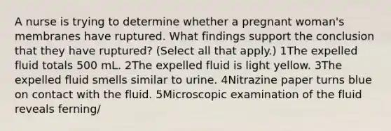 A nurse is trying to determine whether a pregnant woman's membranes have ruptured. What findings support the conclusion that they have ruptured? (Select all that apply.) 1The expelled fluid totals 500 mL. 2The expelled fluid is light yellow. 3The expelled fluid smells similar to urine. 4Nitrazine paper turns blue on contact with the fluid. 5Microscopic examination of the fluid reveals ferning/