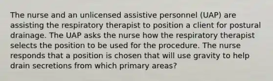 The nurse and an unlicensed assistive personnel (UAP) are assisting the respiratory therapist to position a client for postural drainage. The UAP asks the nurse how the respiratory therapist selects the position to be used for the procedure. The nurse responds that a position is chosen that will use gravity to help drain secretions from which primary areas?