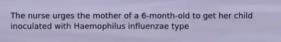 The nurse urges the mother of a 6-month-old to get her child inoculated with Haemophilus influenzae type