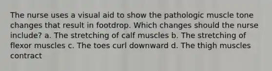 The nurse uses a visual aid to show the pathologic muscle tone changes that result in footdrop. Which changes should the nurse include? a. The stretching of calf muscles b. The stretching of flexor muscles c. The toes curl downward d. The thigh muscles contract