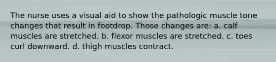 The nurse uses a visual aid to show the pathologic muscle tone changes that result in footdrop. Those changes are: a. calf muscles are stretched. b. flexor muscles are stretched. c. toes curl downward. d. thigh muscles contract.