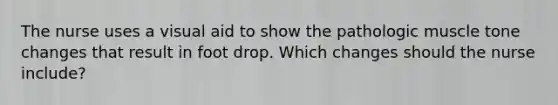 The nurse uses a visual aid to show the pathologic muscle tone changes that result in foot drop. Which changes should the nurse include?