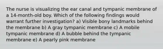 The nurse is visualizing the ear canal and tympanic membrane of a 14-month-old boy. Which of the following findings would warrant further investigation? a) Visible bony landmarks behind the membrane b) A gray tympanic membrane c) A mobile tympanic membrane d) A bubble behind the tympanic membrane e) A pearly pink membrane