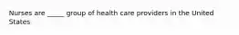 Nurses are _____ group of health care providers in the United States