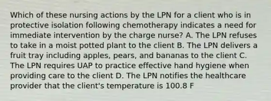 Which of these nursing actions by the LPN for a client who is in protective isolation following chemotherapy indicates a need for immediate intervention by the charge nurse? A. The LPN refuses to take in a moist potted plant to the client B. The LPN delivers a fruit tray including apples, pears, and bananas to the client C. The LPN requires UAP to practice effective hand hygiene when providing care to the client D. The LPN notifies the healthcare provider that the client's temperature is 100.8 F