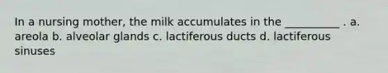 In a nursing mother, the milk accumulates in the __________ . a. areola b. alveolar glands c. lactiferous ducts d. lactiferous sinuses