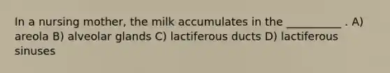 In a nursing mother, the milk accumulates in the __________ . A) areola B) alveolar glands C) lactiferous ducts D) lactiferous sinuses