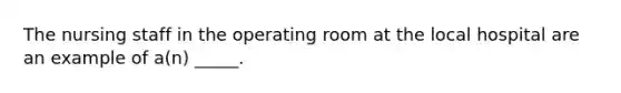 The nursing staff in the operating room at the local hospital are an example of a(n) _____.