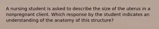 A nursing student is asked to describe the size of the uterus in a nonpregnant client. Which response by the student indicates an understanding of the anatomy of this structure?