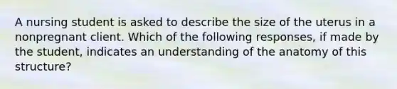 A nursing student is asked to describe the size of the uterus in a nonpregnant client. Which of the following responses, if made by the student, indicates an understanding of the anatomy of this structure?