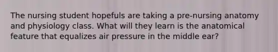 The nursing student hopefuls are taking a pre-nursing anatomy and physiology class. What will they learn is the anatomical feature that equalizes air pressure in the middle ear?