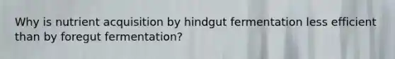 Why is nutrient acquisition by hindgut fermentation less efficient than by foregut fermentation?