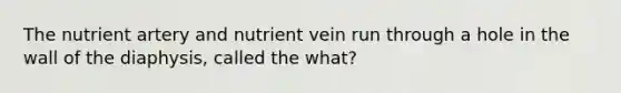 The nutrient artery and nutrient vein run through a hole in the wall of the diaphysis, called the what?