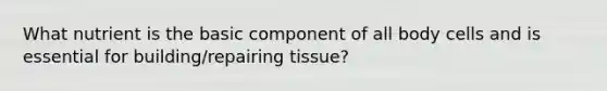 What nutrient is the basic component of all body cells and is essential for building/repairing tissue?