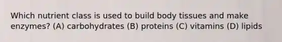 Which nutrient class is used to build body tissues and make enzymes? (A) carbohydrates (B) proteins (C) vitamins (D) lipids