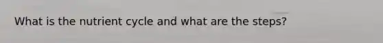 What is the nutrient cycle and what are the steps?