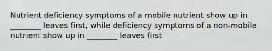 Nutrient deficiency symptoms of a mobile nutrient show up in ________ leaves first, while deficiency symptoms of a non-mobile nutrient show up in ________ leaves first