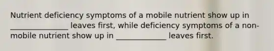 Nutrient deficiency symptoms of a mobile nutrient show up in _______________ leaves first, while deficiency symptoms of a non-mobile nutrient show up in _____________ leaves first.