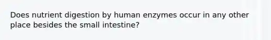 Does nutrient digestion by human enzymes occur in any other place besides the small intestine?