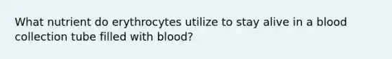 What nutrient do erythrocytes utilize to stay alive in a blood collection tube filled with blood?