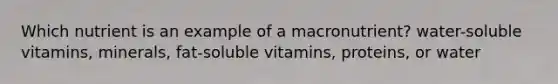 Which nutrient is an example of a macronutrient?​ ​water-soluble vitamins, ​minerals, fat-soluble vitamins, proteins, or water