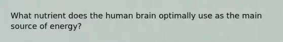 What nutrient does the human brain optimally use as the main source of energy?