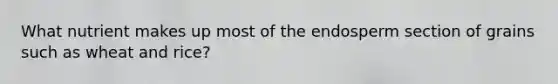 What nutrient makes up most of the endosperm section of grains such as wheat and rice?
