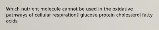 Which nutrient molecule cannot be used in the oxidative pathways of <a href='https://www.questionai.com/knowledge/k1IqNYBAJw-cellular-respiration' class='anchor-knowledge'>cellular respiration</a>? glucose protein cholesterol fatty acids