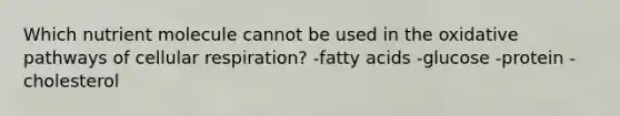 Which nutrient molecule cannot be used in the oxidative pathways of cellular respiration? -fatty acids -glucose -protein -cholesterol