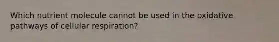 Which nutrient molecule cannot be used in the oxidative pathways of <a href='https://www.questionai.com/knowledge/k1IqNYBAJw-cellular-respiration' class='anchor-knowledge'>cellular respiration</a>?