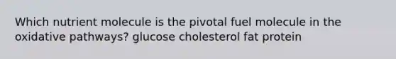 Which nutrient molecule is the pivotal fuel molecule in the oxidative pathways? glucose cholesterol fat protein