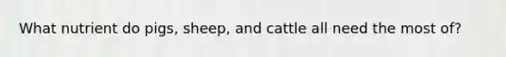 What nutrient do pigs, sheep, and cattle all need the most of?