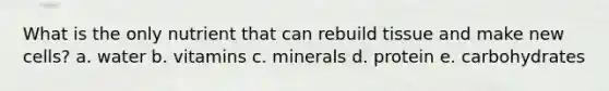 What is the only nutrient that can rebuild tissue and make new cells? a. water b. vitamins c. minerals d. protein e. carbohydrates