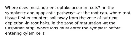 Where does most nutrient uptake occur in roots? -in the symplastic and apoplastic pathways -at the root cap, where root tissue first encounters soil away from the zone of nutrient depletion -in root hairs, in the zone of maturation -at the Casparian strip, where ions must enter the symplast before entering xylem cells