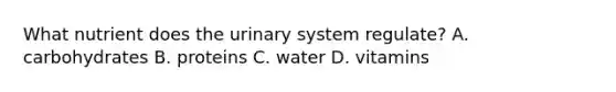 What nutrient does the urinary system regulate? A. carbohydrates B. proteins C. water D. vitamins