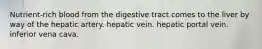 Nutrient-rich blood from the digestive tract comes to the liver by way of the hepatic artery. hepatic vein. hepatic portal vein. inferior vena cava.