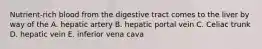 Nutrient-rich blood from the digestive tract comes to the liver by way of the A. hepatic artery B. hepatic portal vein C. Celiac trunk D. hepatic vein E. inferior vena cava