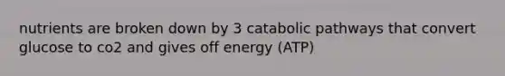 nutrients are broken down by 3 catabolic pathways that convert glucose to co2 and gives off energy (ATP)