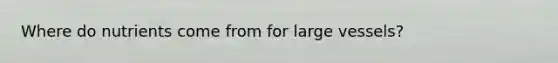 Where do nutrients come from for large vessels?