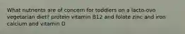 What nutrients are of concern for toddlers on a lacto-ovo vegetarian diet? protein vitamin B12 and folate zinc and iron calcium and vitamin D