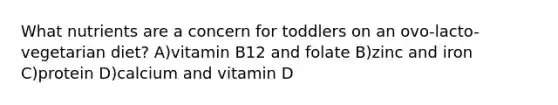 What nutrients are a concern for toddlers on an ovo-lacto-vegetarian diet? A)vitamin B12 and folate B)zinc and iron C)protein D)calcium and vitamin D