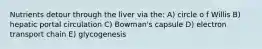 Nutrients detour through the liver via the: A) circle o f Willis B) hepatic portal circulation C) Bowman's capsule D) electron transport chain E) glycogenesis