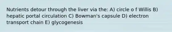 Nutrients detour through the liver via the: A) circle o f Willis B) hepatic portal circulation C) Bowman's capsule D) electron transport chain E) glycogenesis