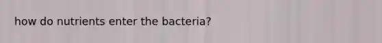 how do nutrients enter the bacteria?